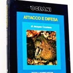 OCEANI 6. ATTACCO E DIFESA