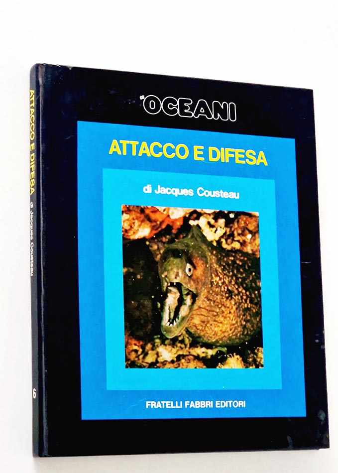 OCEANI 6. ATTACCO E DIFESA