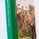 MEDIO AMBIENTE EN ANDALUCÍA. Informe 2005