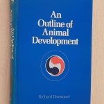 AN OUTLINE OF ANIMAL DEVELOPMENT