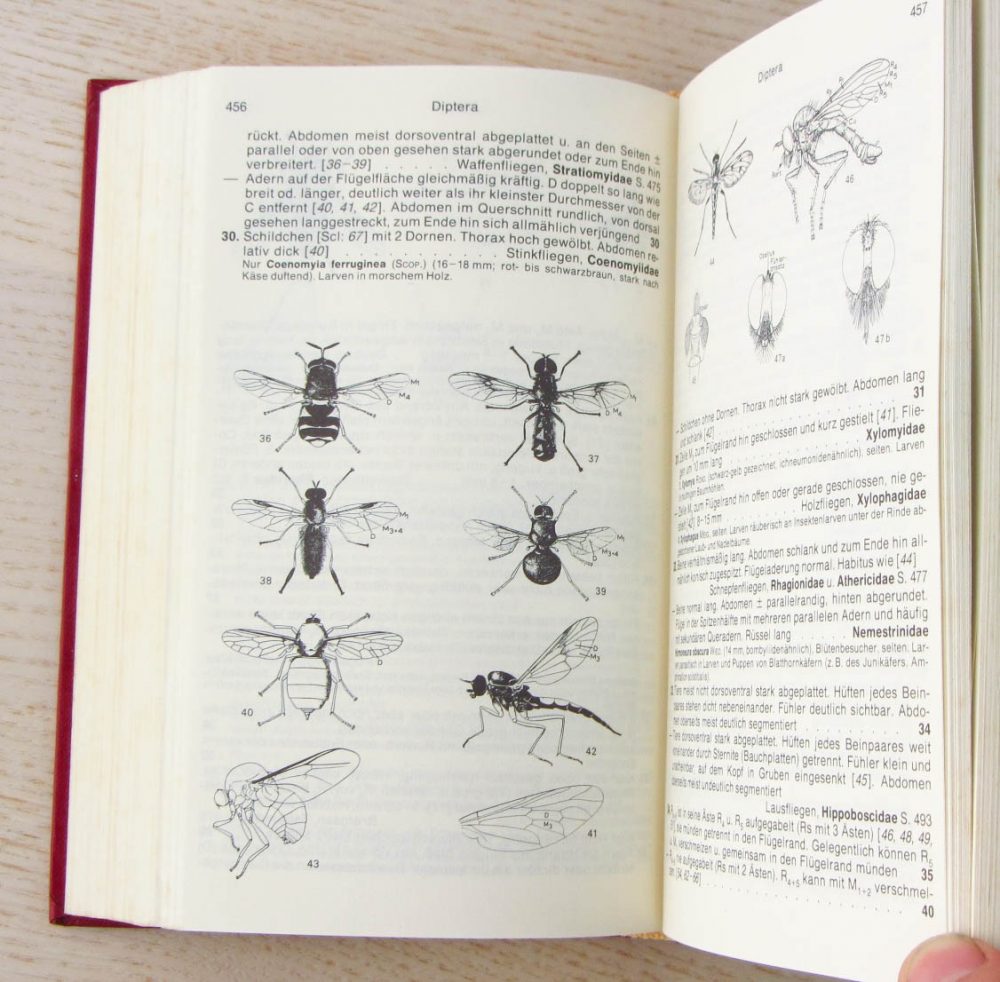 BROHMER. FAUNA VON DEUTSCHLAND. Ein Bestimmungsbuch unserer heimischen Tierwelt. - Imagen 2
