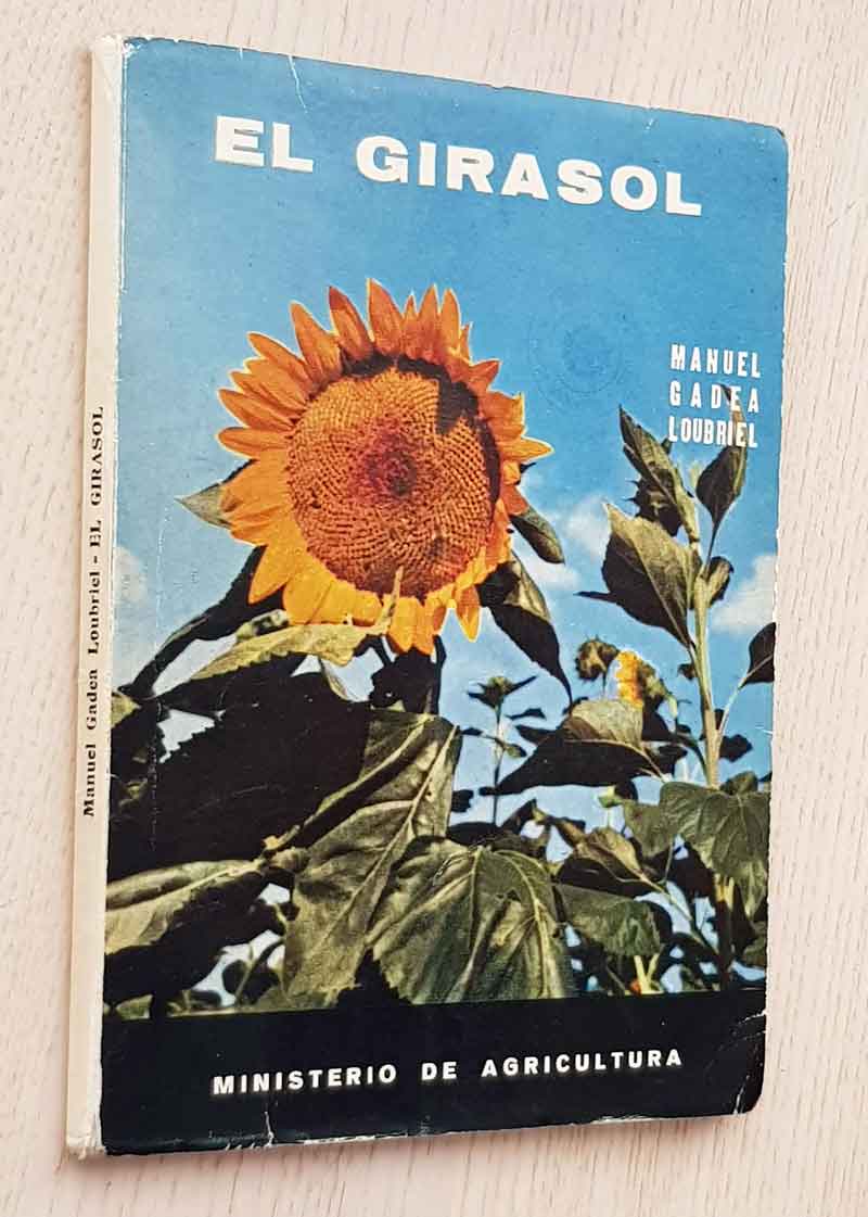 EL GIRASOL